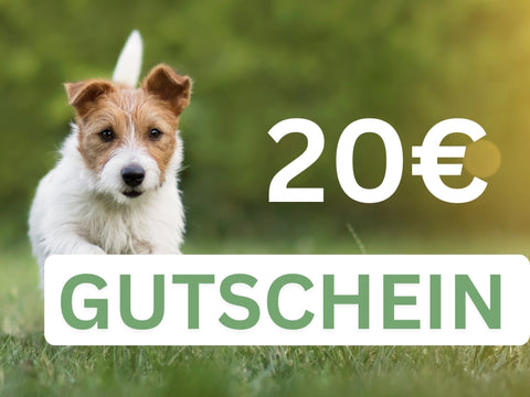 Gift voucher 20,- EUR