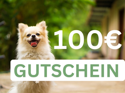 Gift voucher 100,- EUR