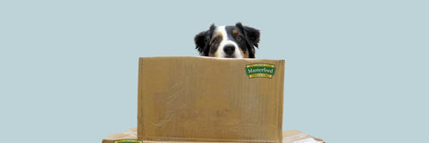 Vind het juiste pakket voor jouw hond.