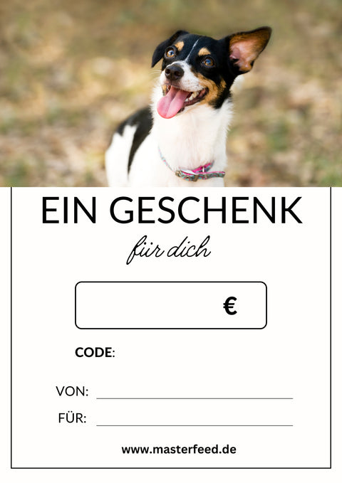 Geschenkgutschein 100,- EUR