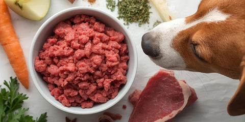 Frische BARF-Menüs für eine artgerechte Ernährung