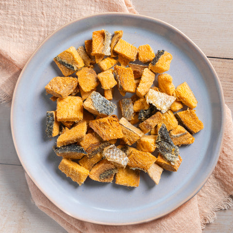 Lachsfilet Trockenbarf - Gefriergetrocknete Qualität