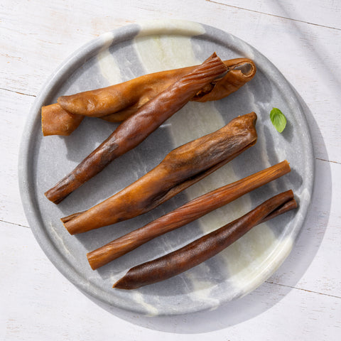 bâtonnets de cuir chevelu de cheval (20 cm) 