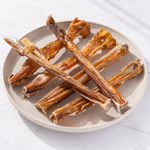 Tendons de cheval (20 cm) 