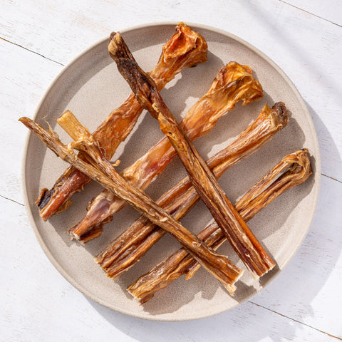 Tendons de cheval (20 cm) 