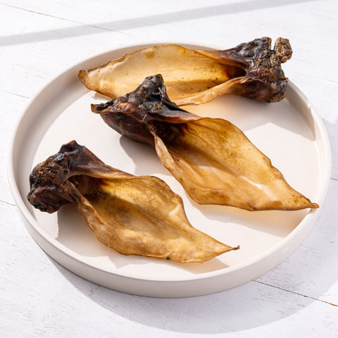 Oreilles de boeuf avec coquille