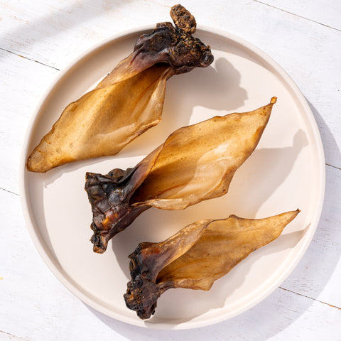 Oreilles de boeuf avec coquille