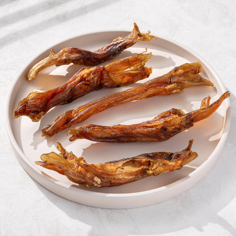 Tendons de bovins (20 cm) 