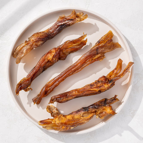 Tendons de bovins (20 cm) 