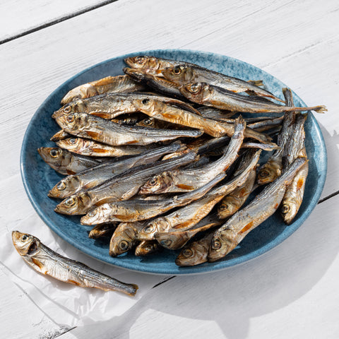 Gros sprats (9 cm) 