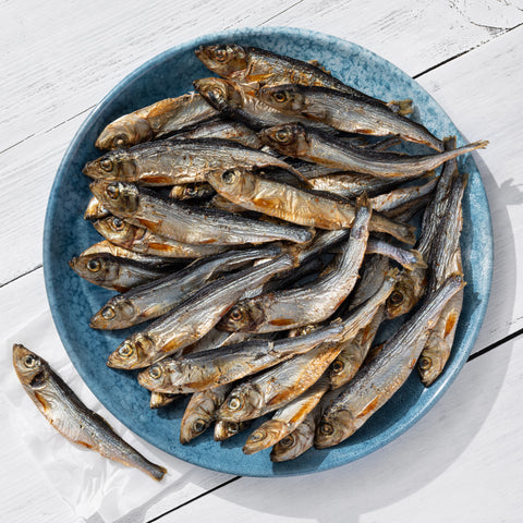 Gros sprats (9 cm) 