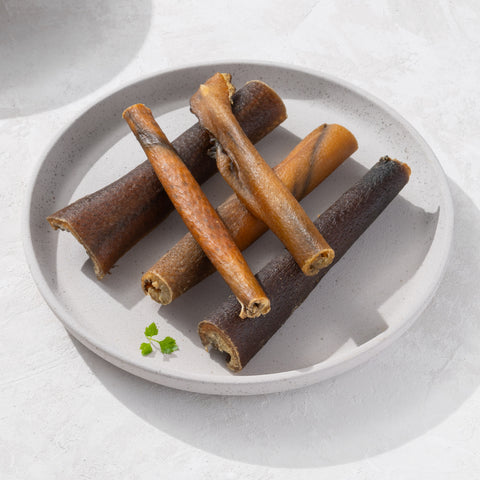 Wildschweinhaut-Stangen (10 cm)